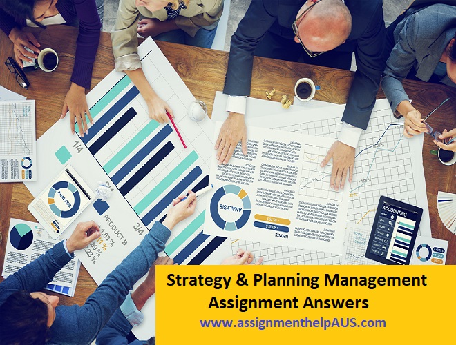 Strategy & Planning Management Assignment 