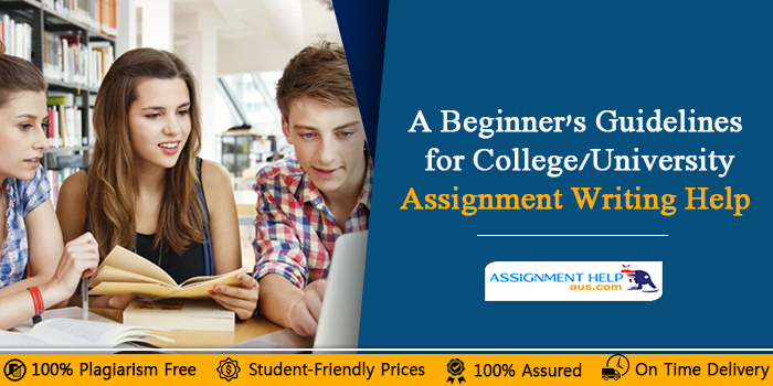 A-Beginner's-Guidelines-for-College/University-Assignment-Writing-Help
