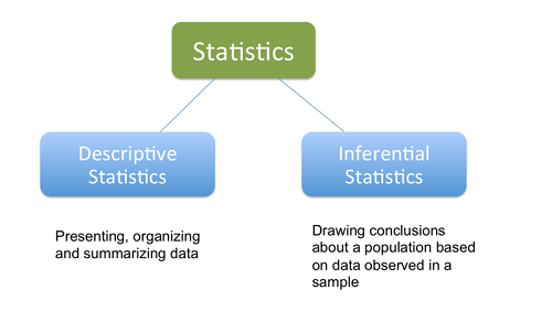 statistics assignment examples