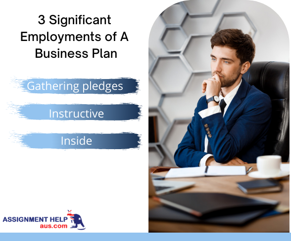 significant-employments-of-a-business-plan