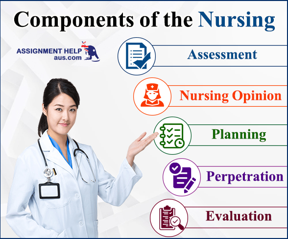 components-of-the-nursing